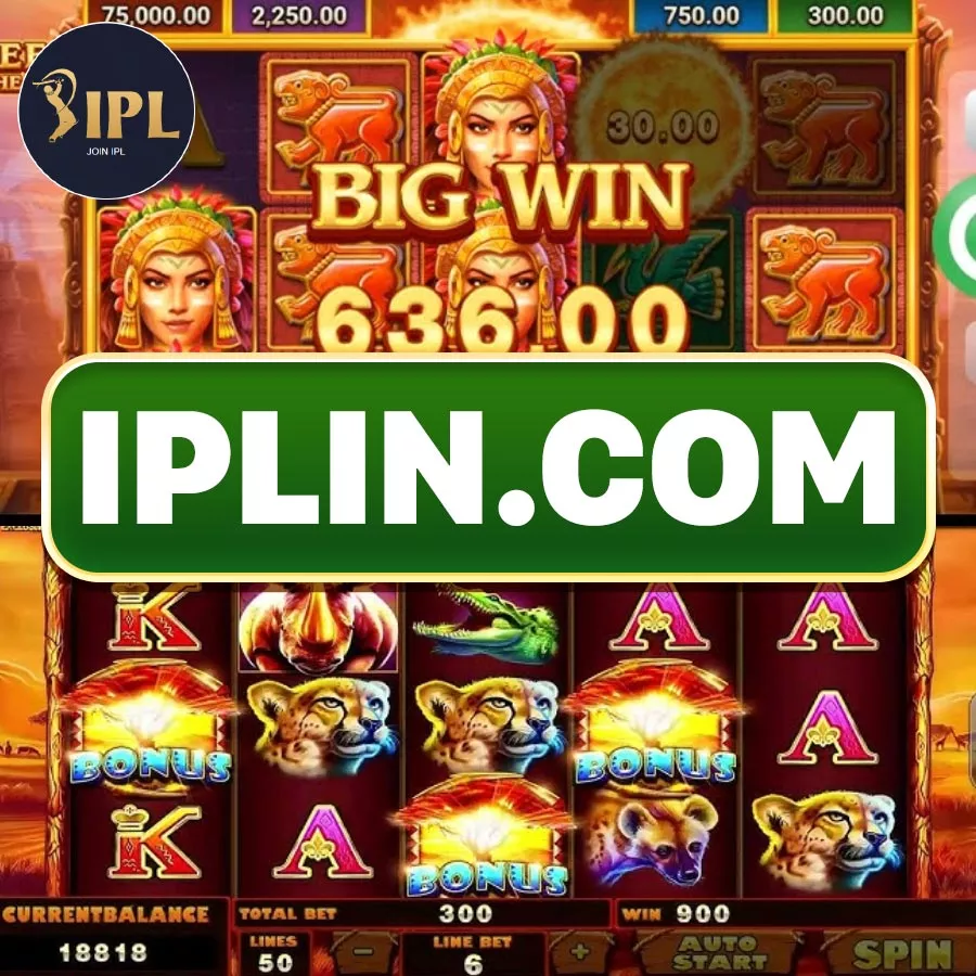 Dragon Tiger Online Casino